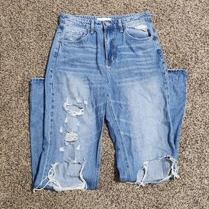 Vervet Ripped Denim